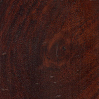 No. 202 Dark Natural